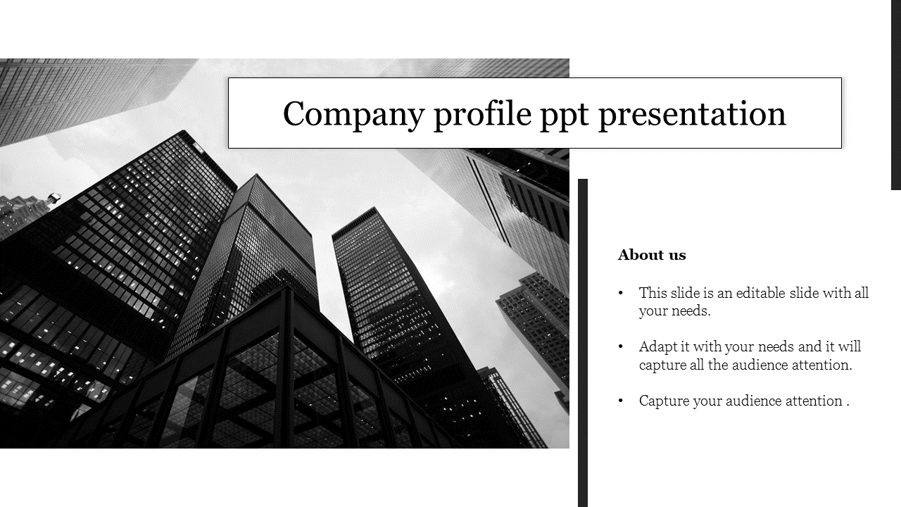 company profile ppt presentation
